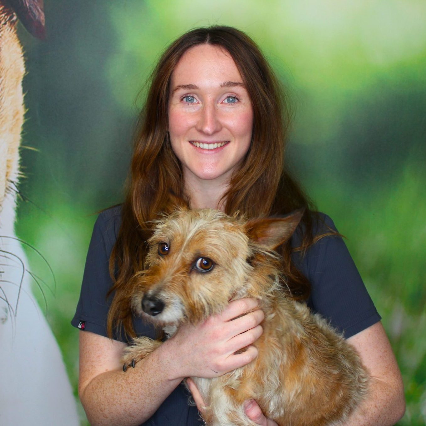 Aishling Bradley reception