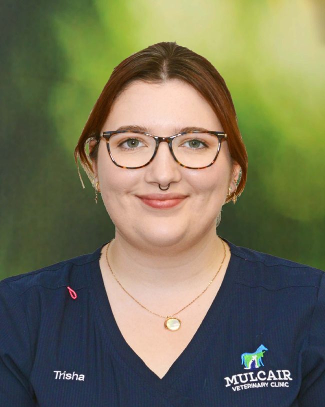 Patricia Moloney animal care assistant